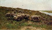 Mauve, Anton Sheep on a dyke oil painting picture wholesale